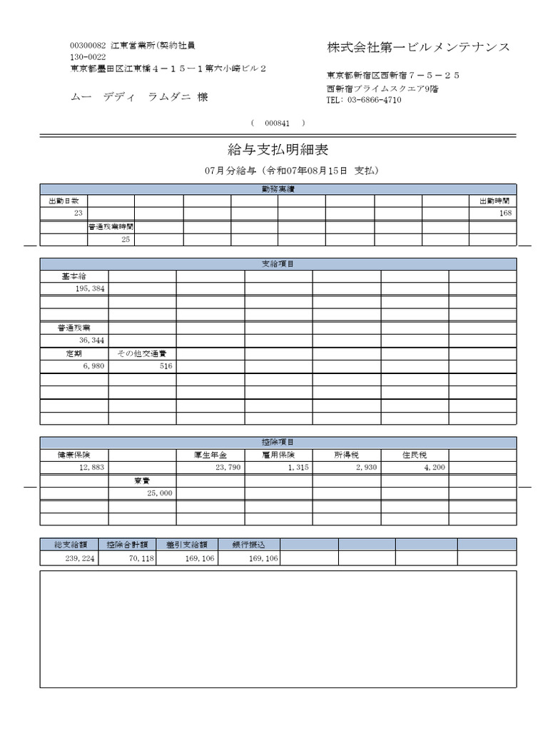 Meisai Report | PDF
