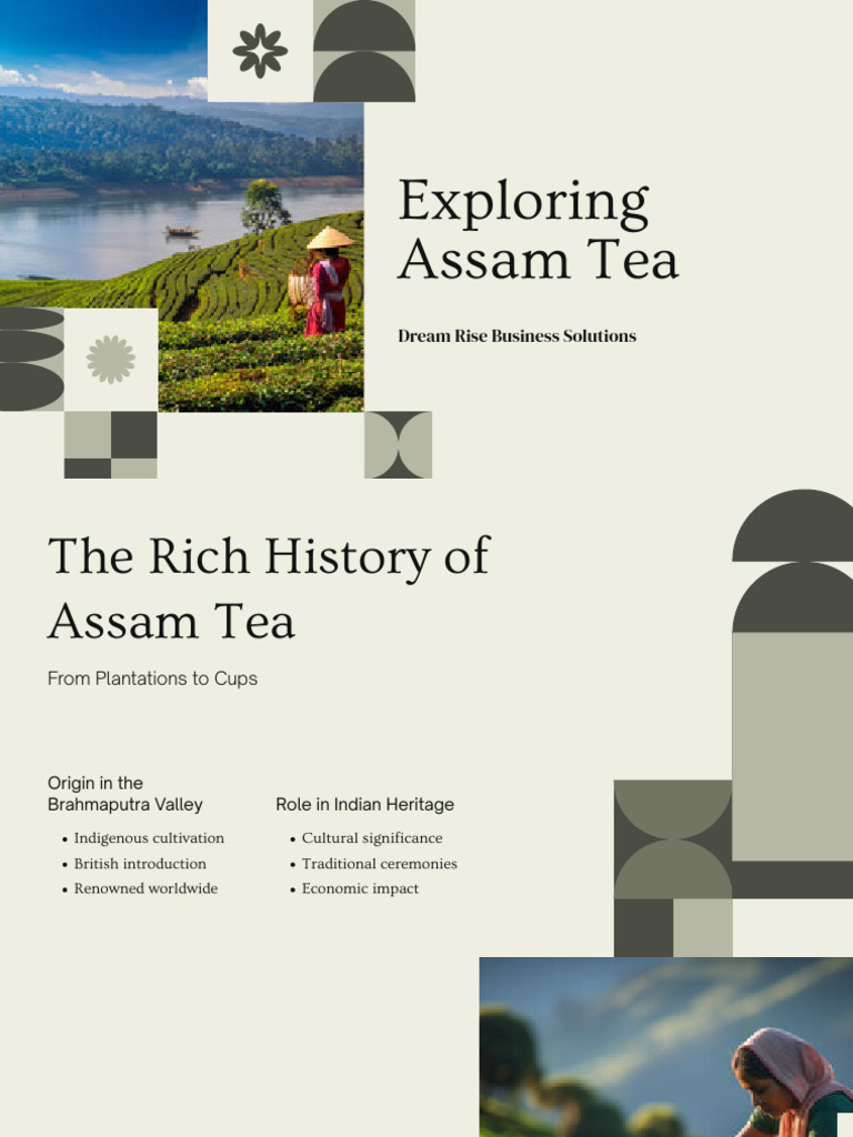 Presentation - Exploring Assam Tea - 20250825 - 222341 - 0000 | PDF