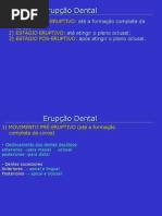Erupcao Dental