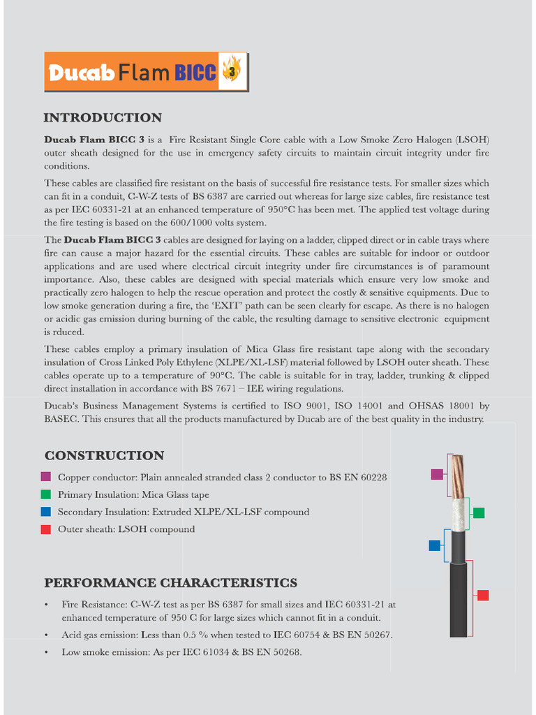 Flam BICC3 | PDF