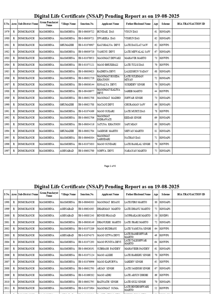 NSAP Digital Life Certificate Report | PDF