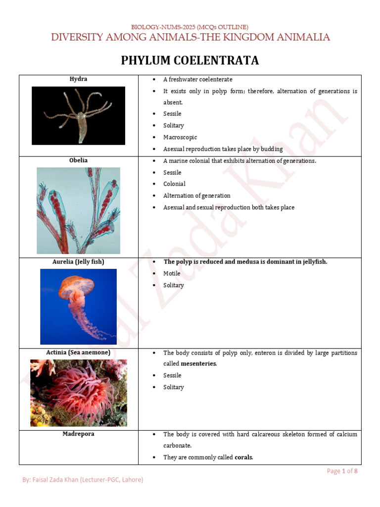 Characteristics of Coelenterata | PDF | Coral | Venomous Animals