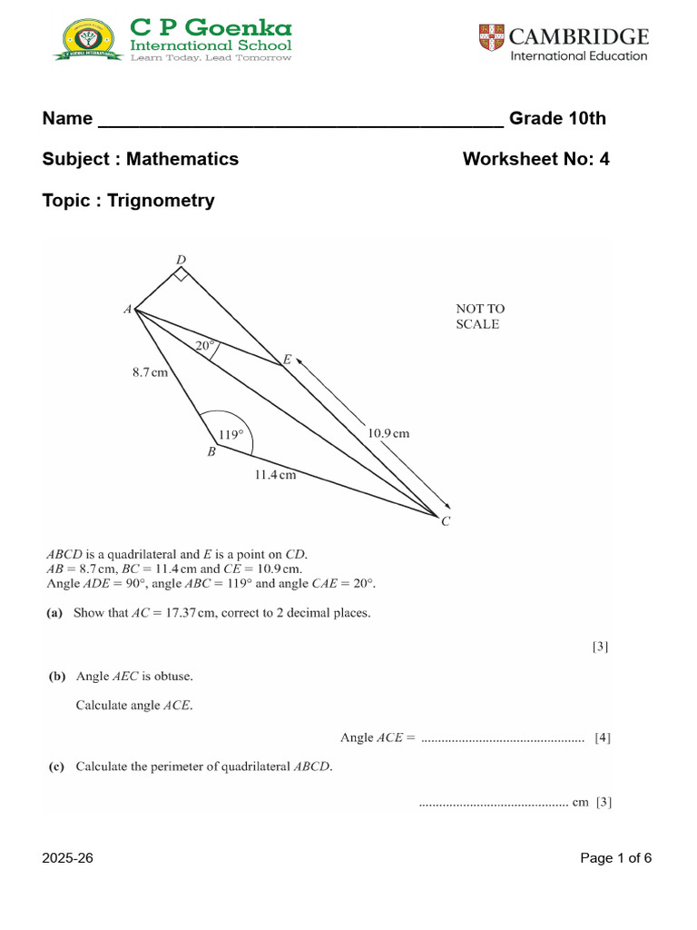 Grade 10 Trigonometry Worksheet | PDF