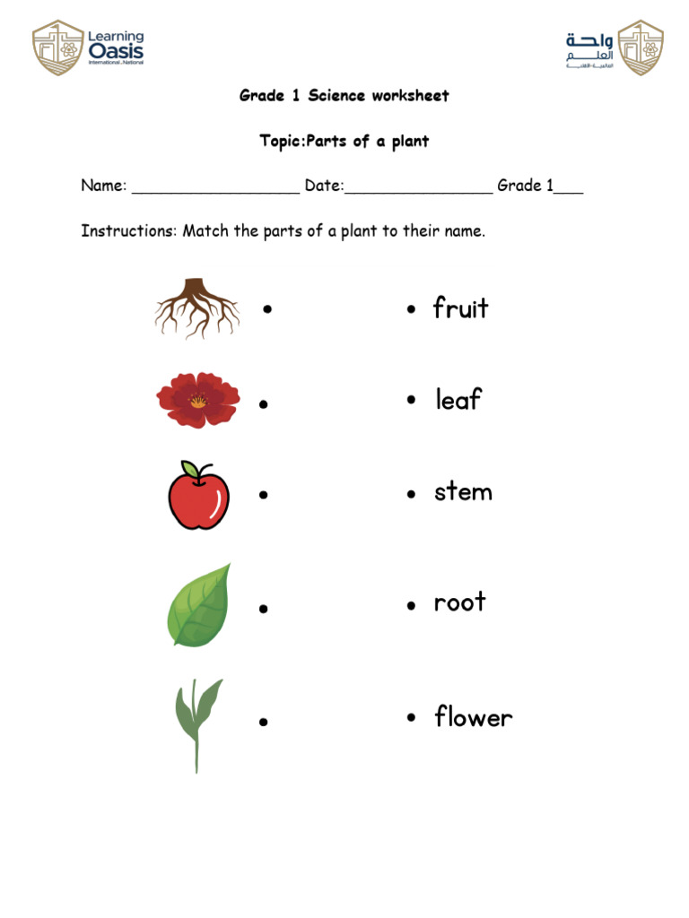 Grade 1- Parts of Plant (1) | PDF