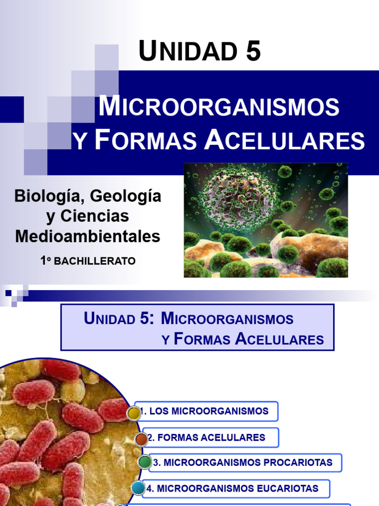Microorganismos y Formas Acelulares | PDF | Virus | Las bacterias