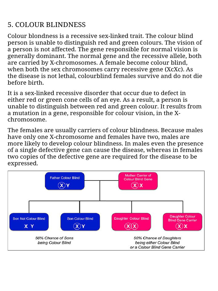 Colour Blindness 5. | PDF