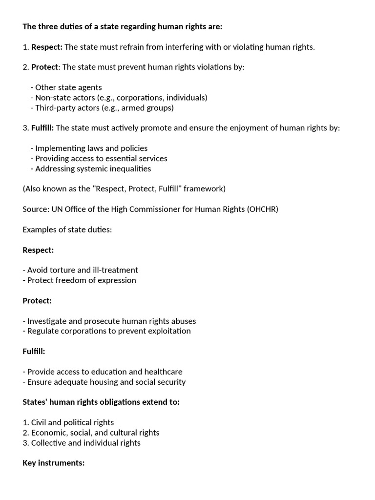 State Duties in Human Rights Protection | PDF | Human Rights ...