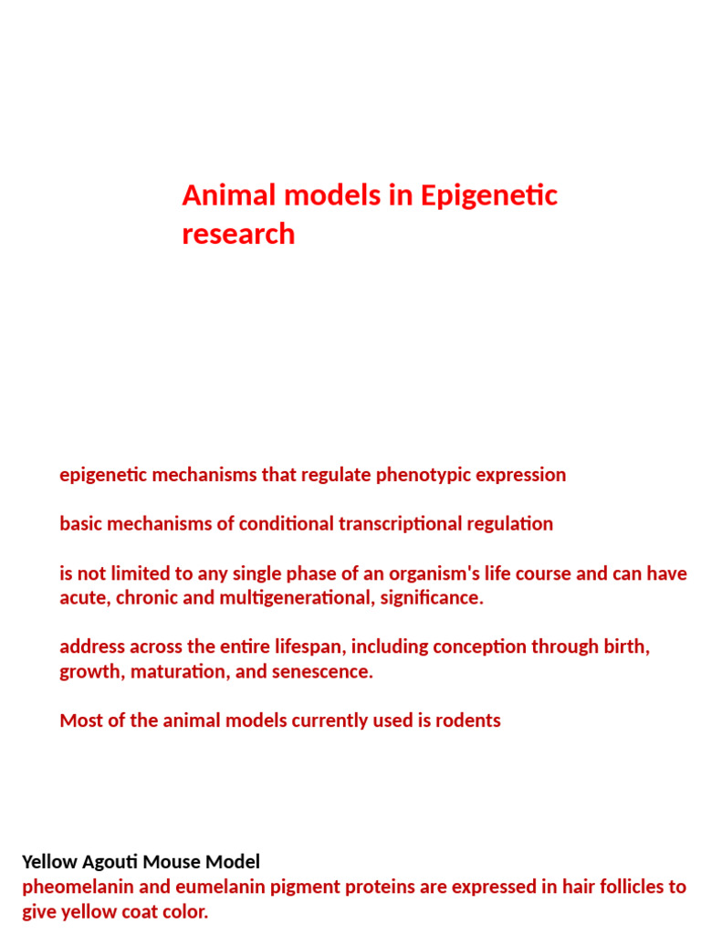 Lecture 7 | PDF | Dna Methylation | Epigenetics