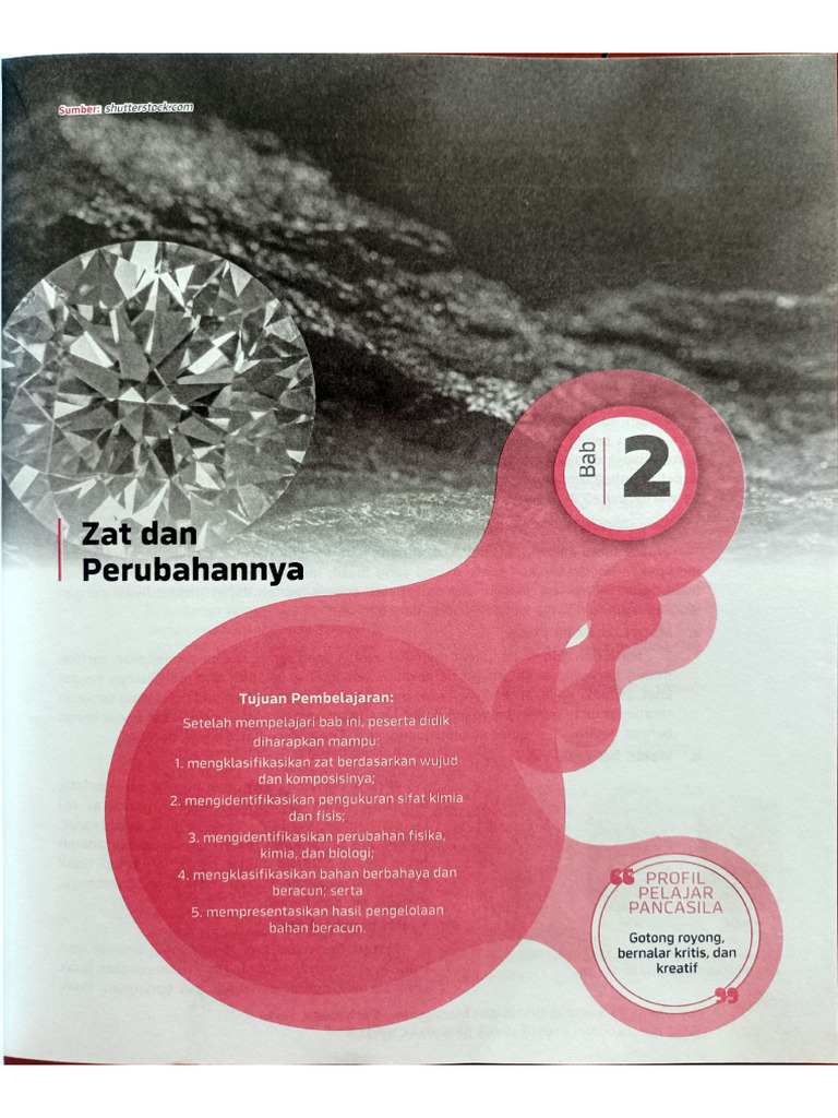 Klasifikasi Zat BDPM | PDF