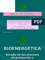 BioenergÉtica Blog