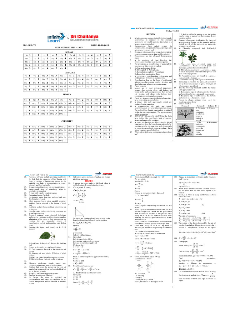 NEET Botany Weekend Test 7 Key | PDF | Leaf | Force