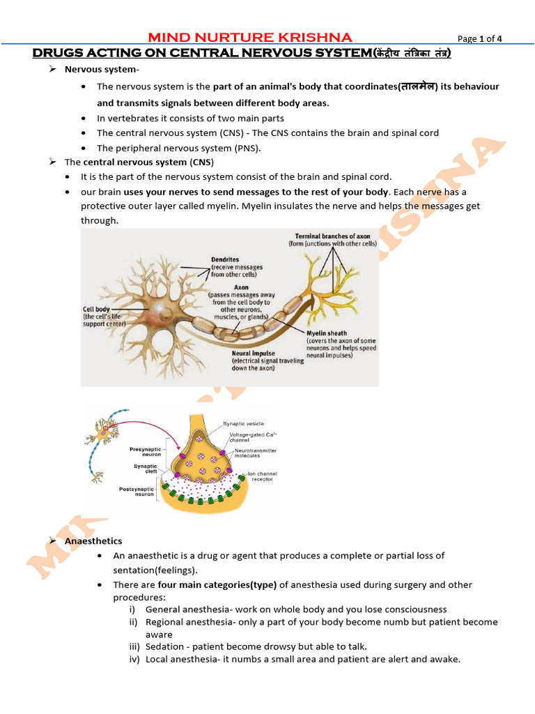 CNS Drugs and Anaesthetics Overview | PDF | Central Nervous System ...