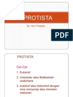 PROTISTA L