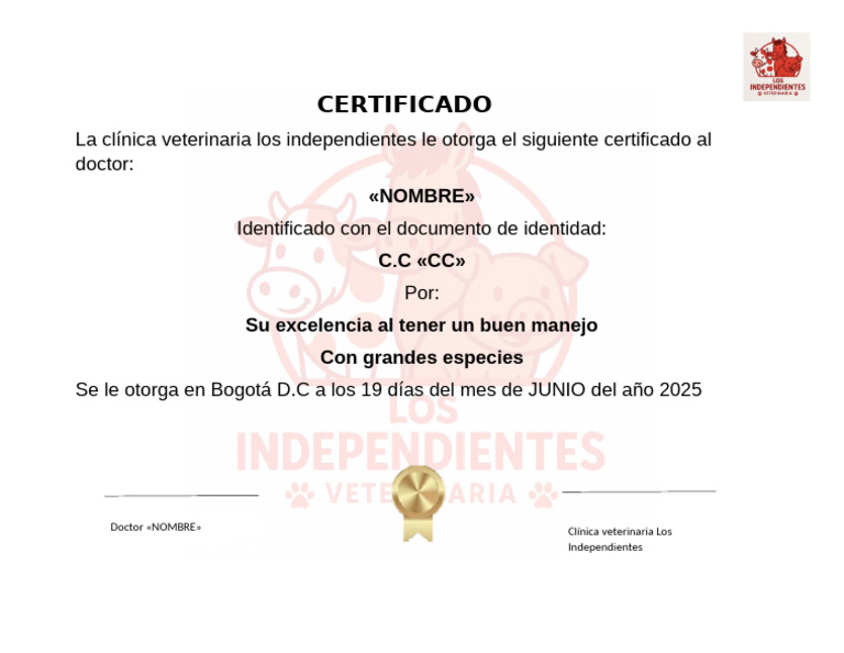 Certifica D 1 | PDF