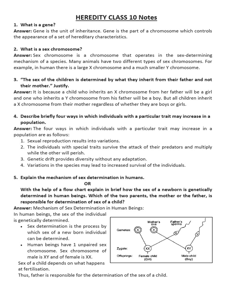 Class 10 Heredity Notes: Key Concepts | PDF | Sex | Heredity