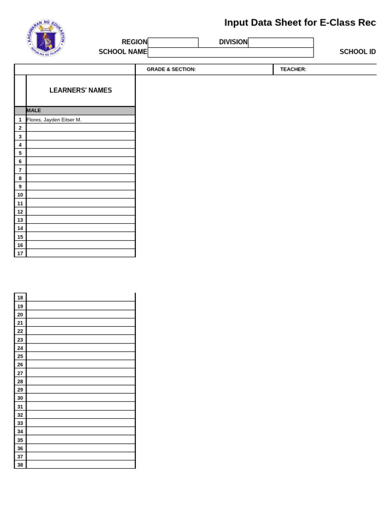 E-Class Record Input Data Sheet | PDF | Mathematics