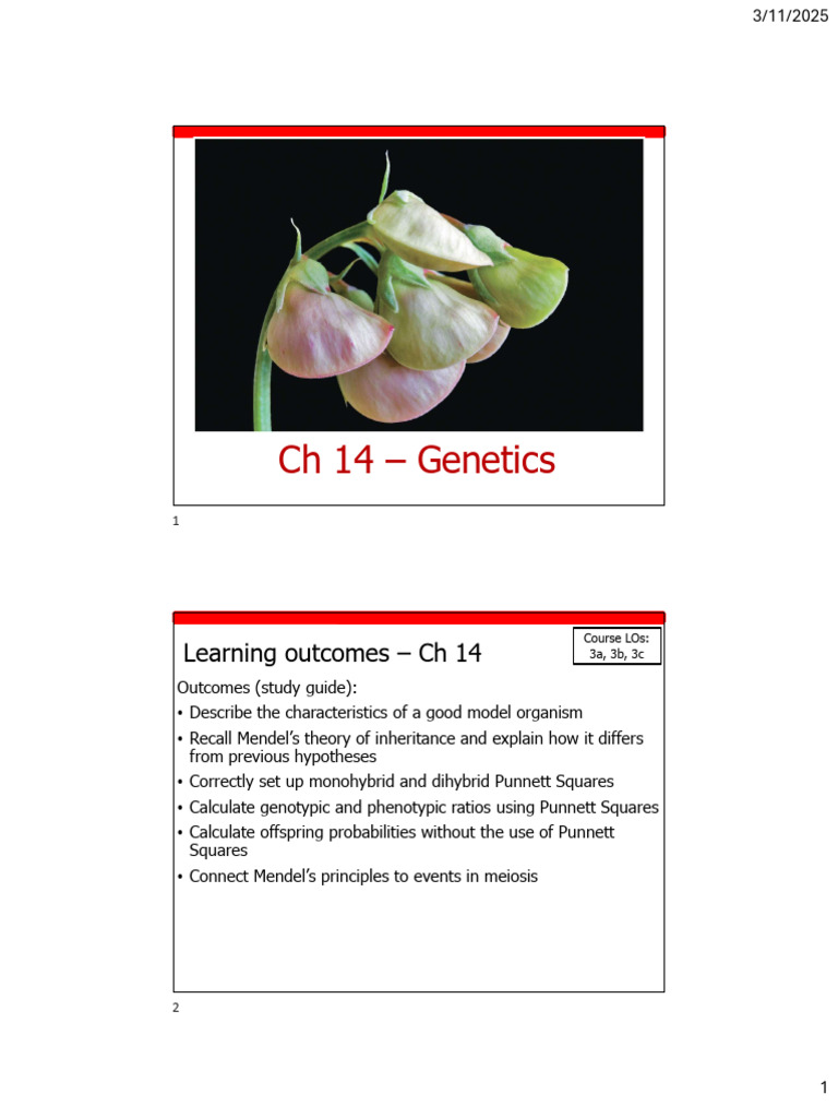 Mendelian Genetics and Inheritance | PDF | Dominance (Genetics) | Genotype