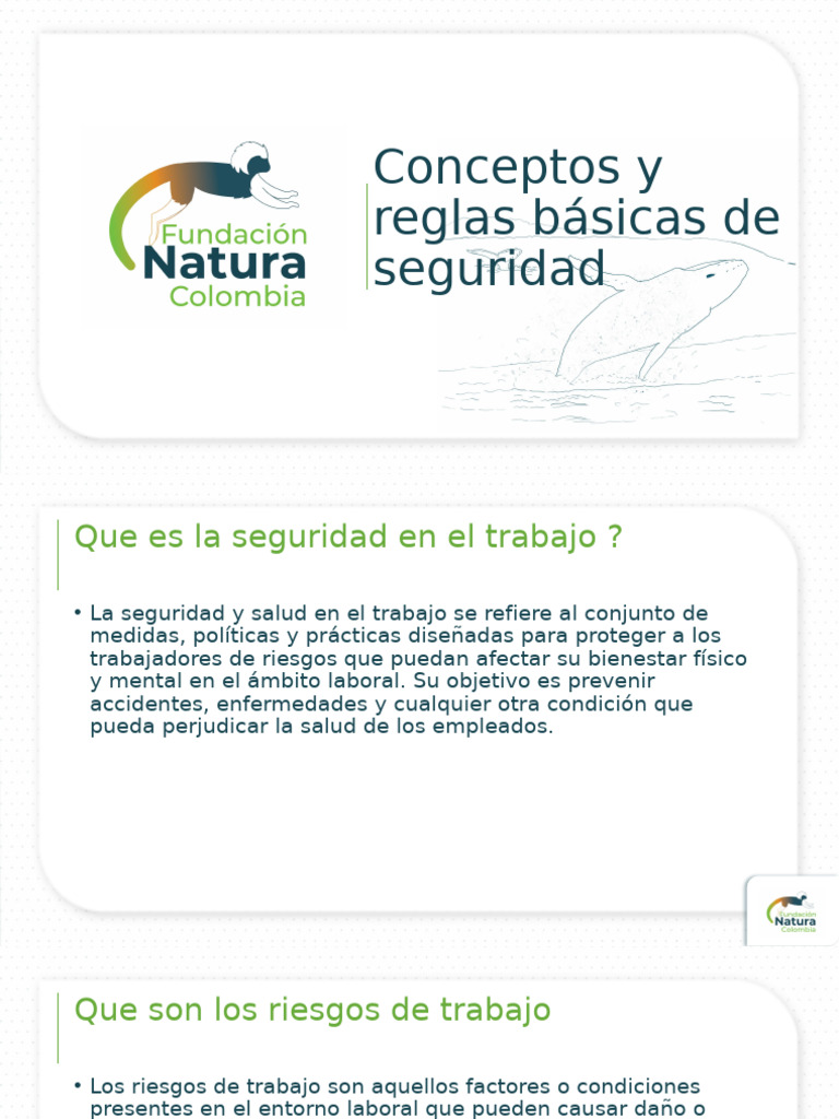 Seguridad y Salud en el Trabajo | PDF | Seguridad y salud ocupacional
