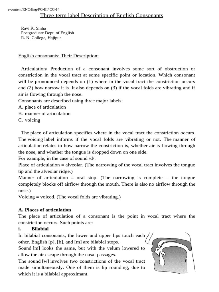 PG-III CC-14-English Consonants by Ravi K Sinha | PDF | Linguistics ...