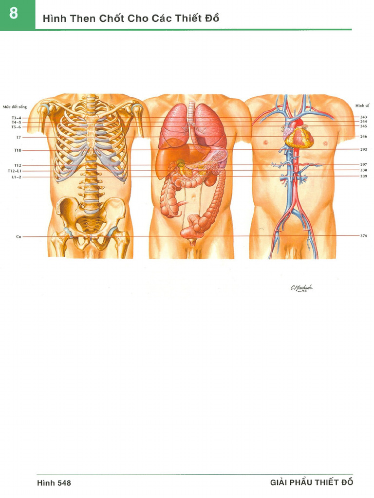553 553 | PDF