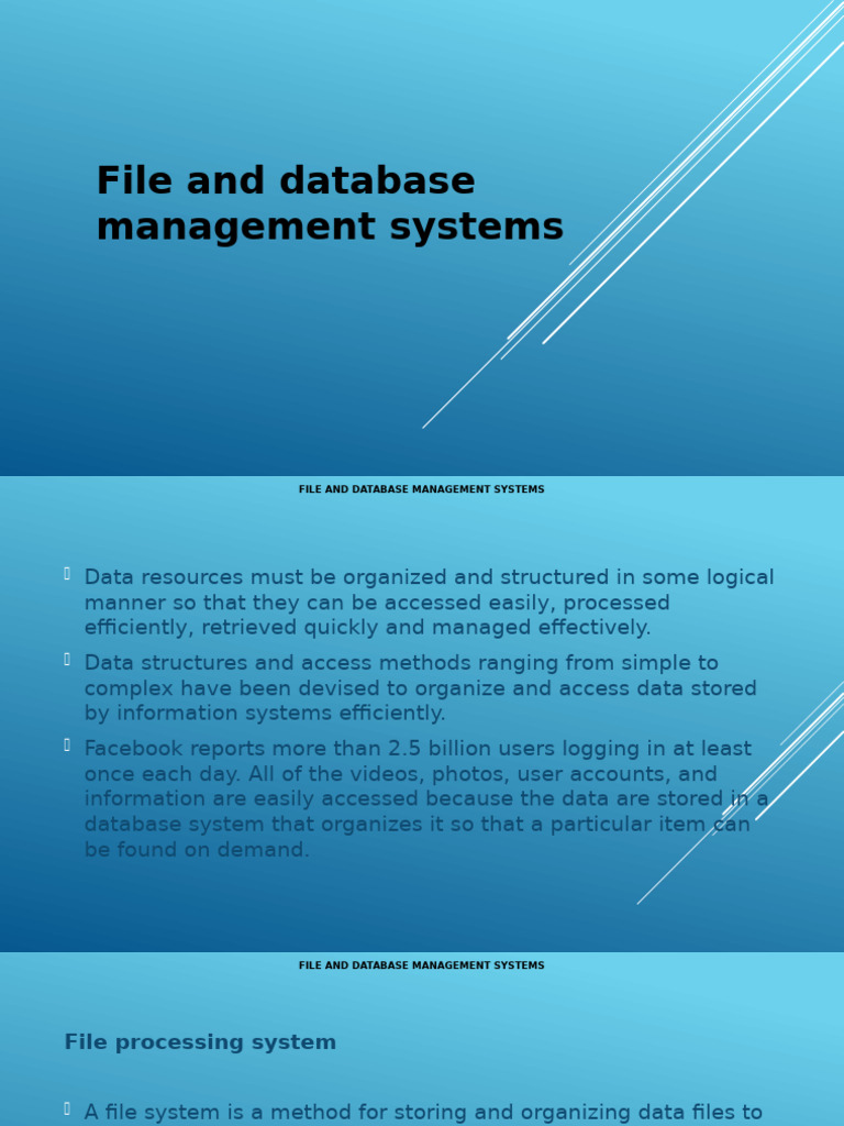 Chapter 4 File and Database Management System | PDF | Databases | Data ...