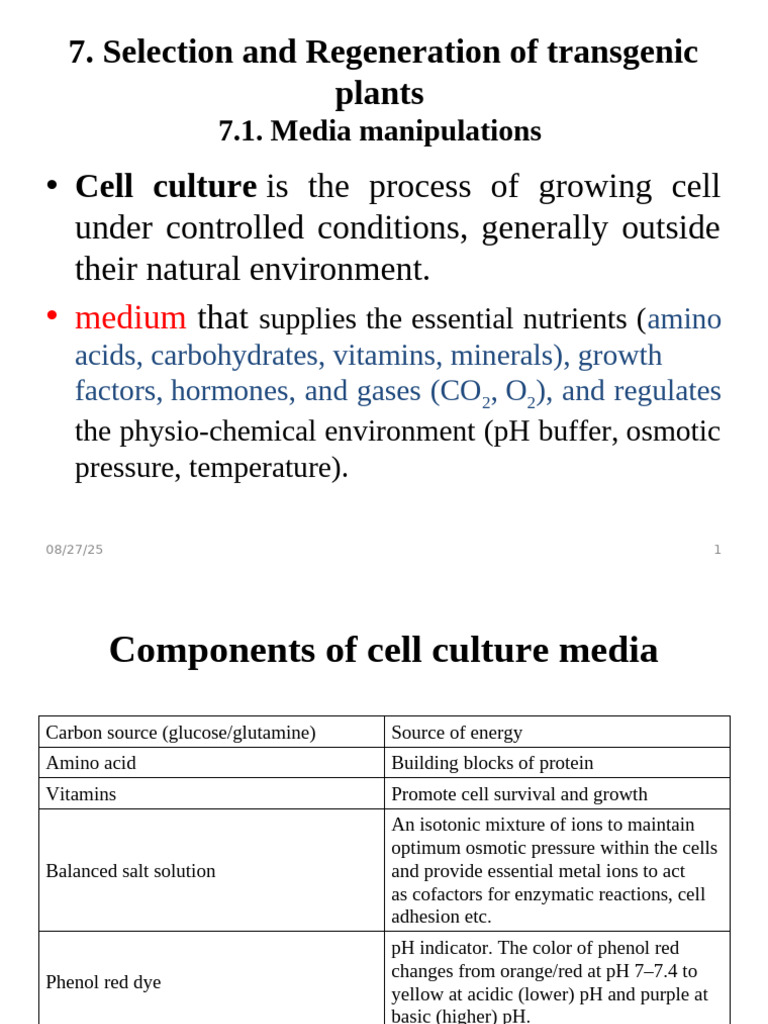 Transgenic Plant Selection & Regeneration | PDF | Molecular Cloning | Virus