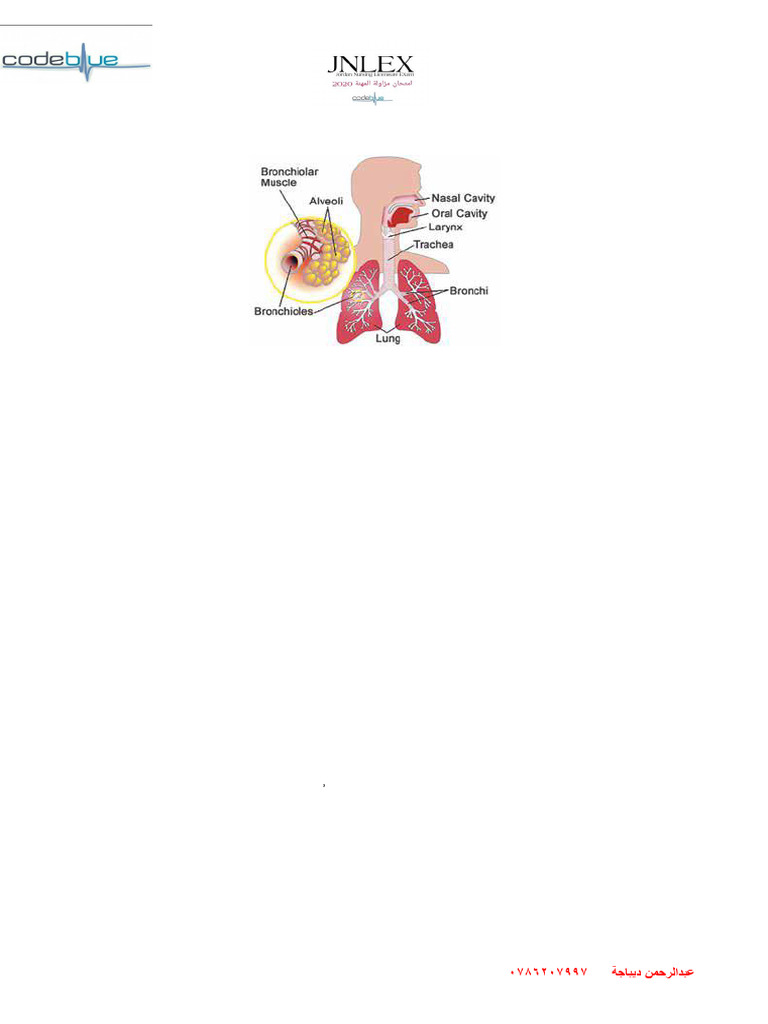 Respiratory Care: Oxygen Delivery Systems | PDF | Chronic Obstructive ...
