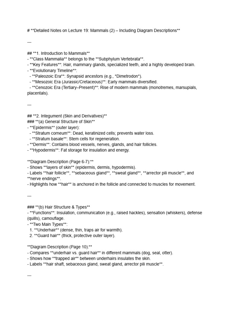 Detailed Notes On Lecture 19 - Mammals (2) - Including Diagram ...