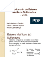 Producción de Esteres Metílicos Sulfonados