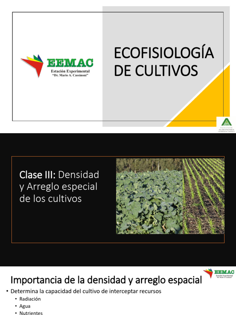 Densidad y Arreglo en Cultivos Eficientes | PDF | Siembra | Agricultura