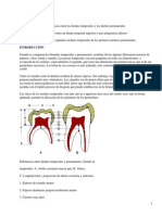 Diferencias entre dientes temporales y permanentes