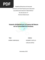 Causas y Soluciones a la Quema de Basura | PDF | Residuos | Contaminación
