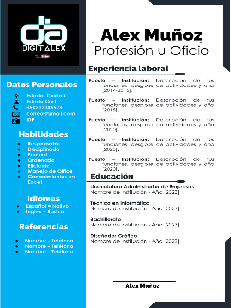Modelo de CV Profesional | PDF