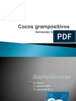 Cocos Gram+ y patógenos S. aureus, S. epidermidis y S. saprophyticus