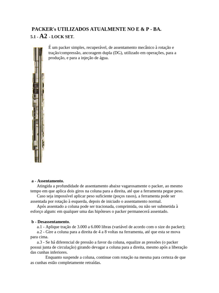 Tipos de Packer e Procedimentos de Uso | PDF | Pressão | Poço de petróleo