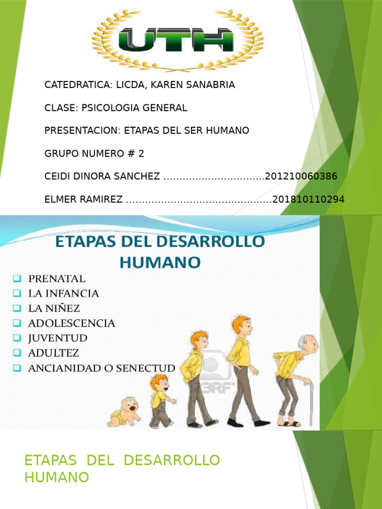 Etapas del Desarrollo Humano | PDF | Adultos | Vejez