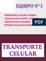 Transporte Celular