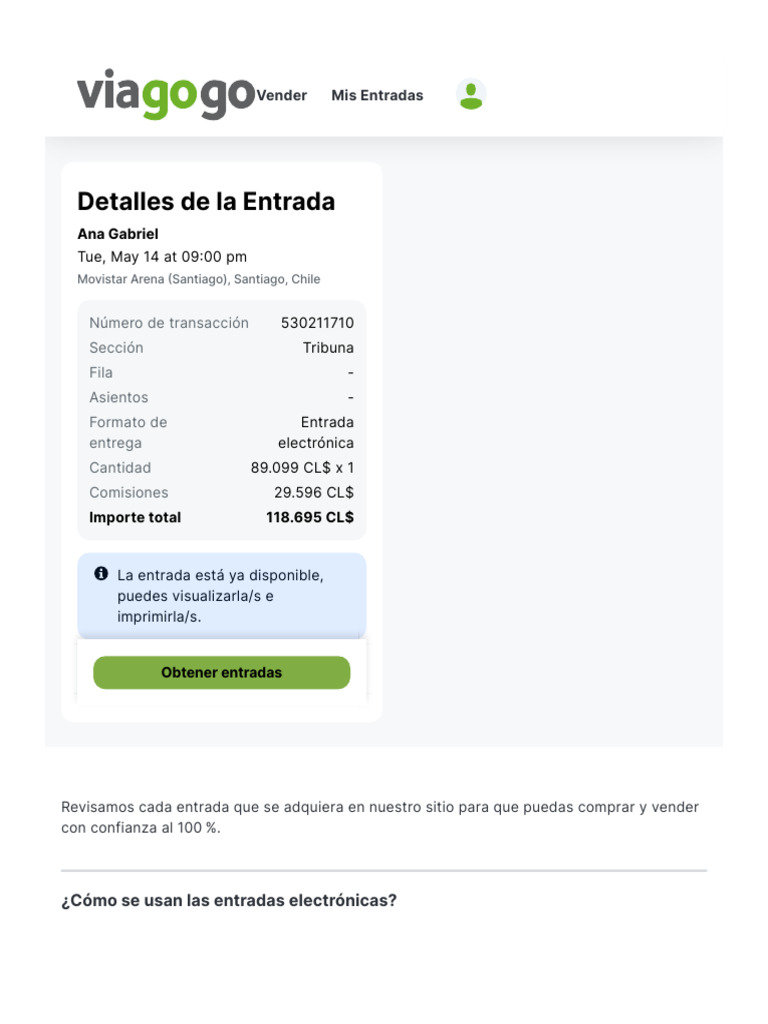 E Ticket Document | PDF
