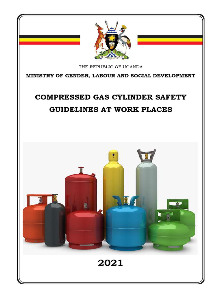 Compressed Gas Safety Guidelines | PDF | Valve | Oxygen