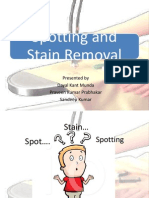 Spot and Stain Removal Guide