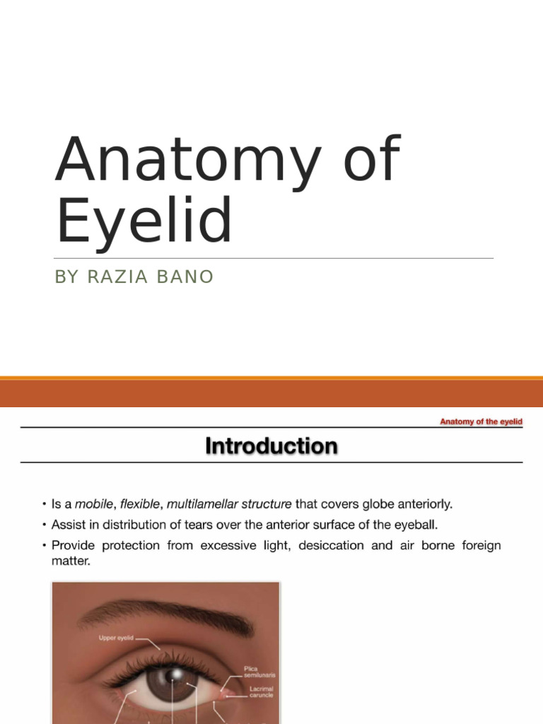 Eyelid Anatomy (Autosaved) | PDF