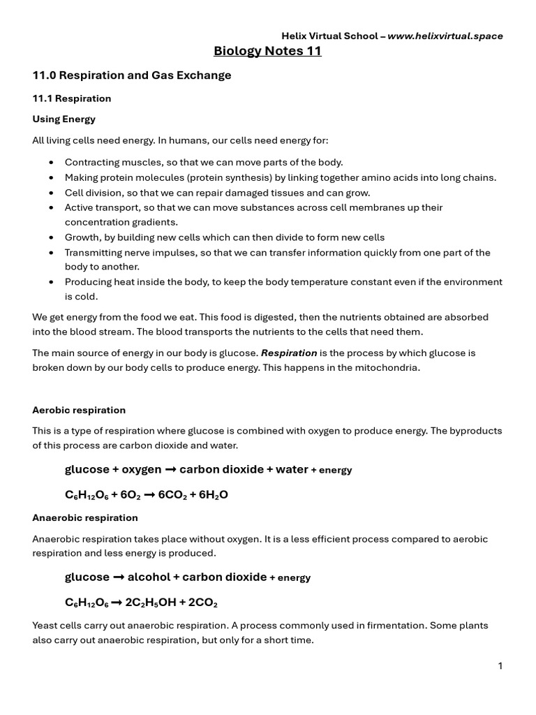 Biology Notes: Respiration & Gas Exchange | PDF | Cellular Respiration ...