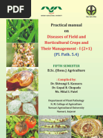 Pascal Contest 2025 Guidelines | PDF | Area | Mathematics