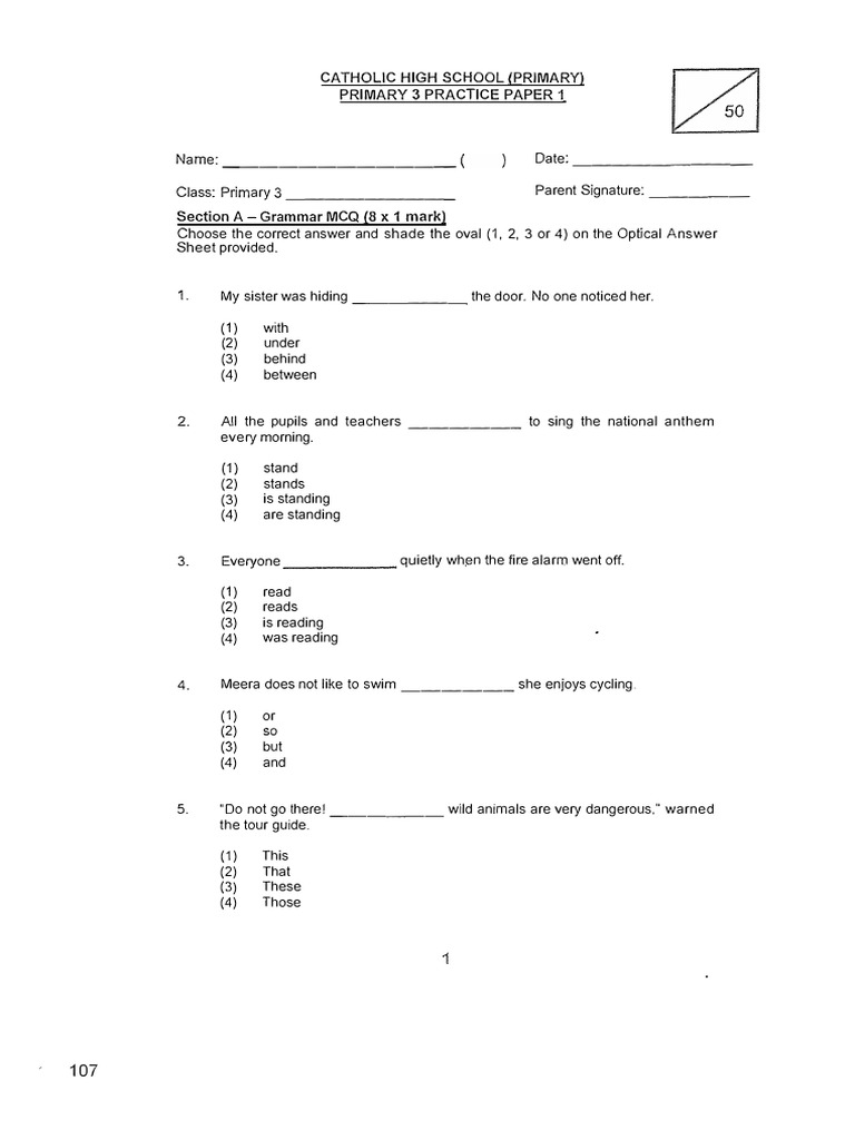 Primary 3 English Exam Practice 2024 | PDF