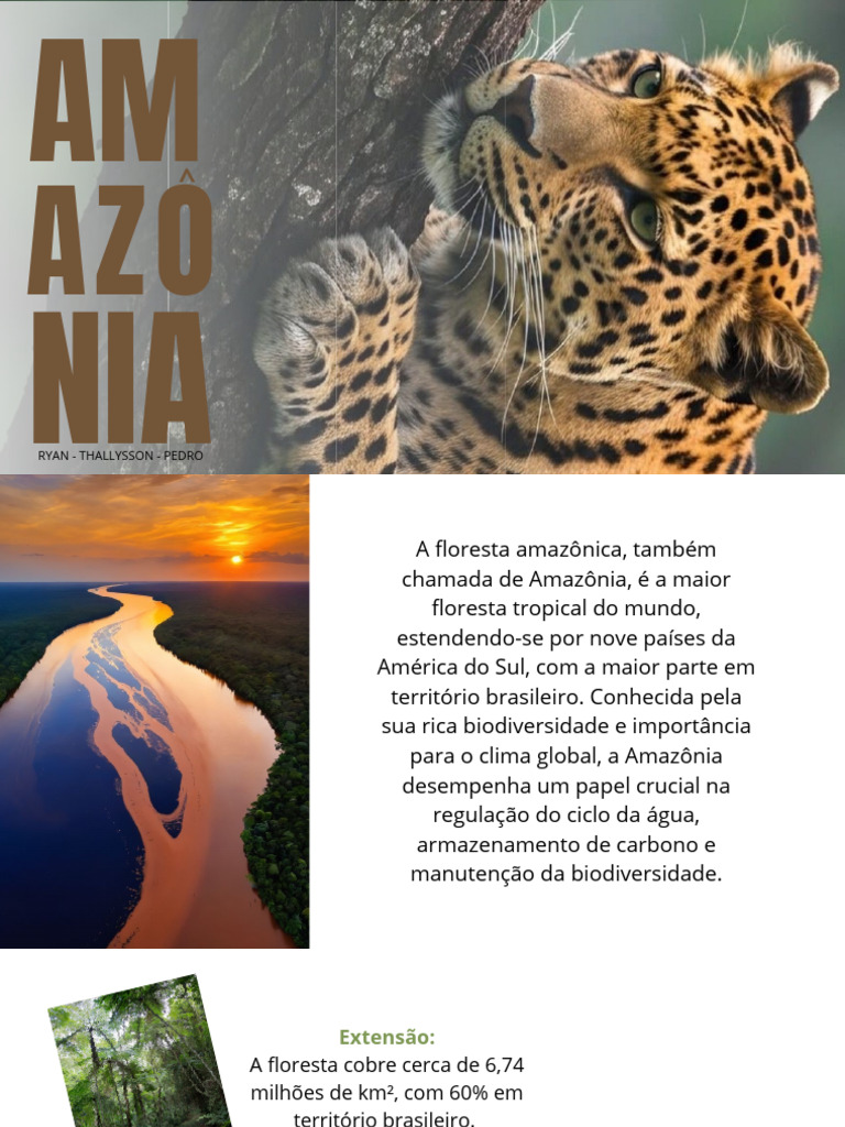Importância e Biodiversidade da Amazônia | PDF | Floresta Amazônica ...