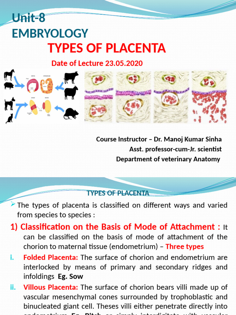 Types of Placenta in Embryology | PDF | Placenta | Epithelium