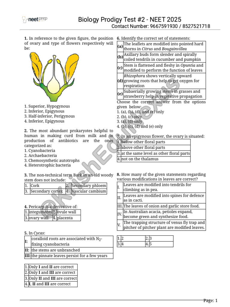 NEET 2025 Biology Prodigy Test 2 | PDF | Mitosis | Muscle
