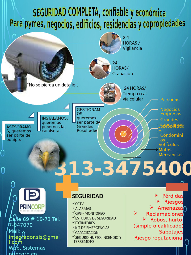 Seguridad Integral para Empresas y PYMES | PDF | La seguridad