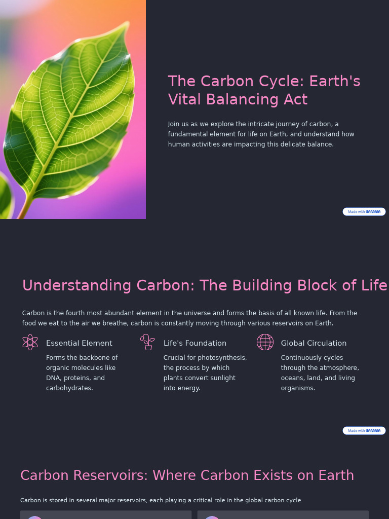 Understanding the Carbon Cycle Dynamics | PDF | Carbon Cycle | Carbon ...