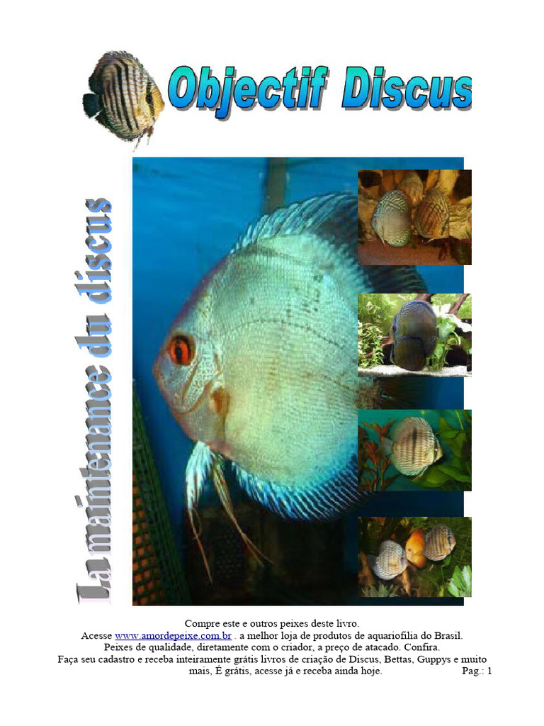 Guide de maintenance du discus | PDF | Amazone (fleuve)
